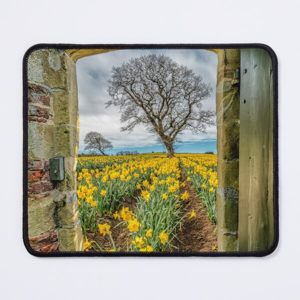 Item preview, Field Of Yellow Daffodils  designed and sold by AJEvans.