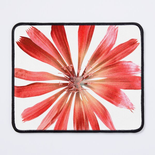 Item preview, Red Pink Flower Petals designed and sold by MyArt23.