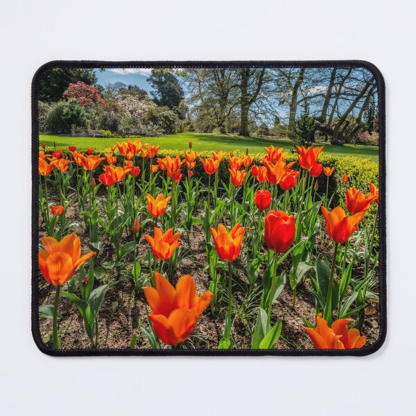 Item preview, Tulips Spring Meadow designed and sold by AJEvans.