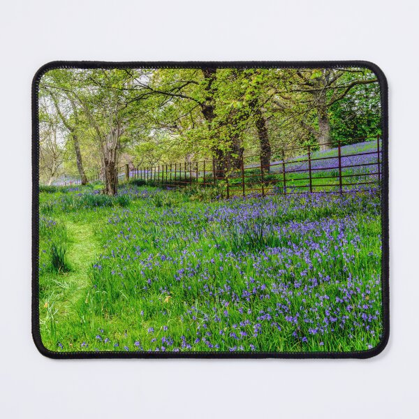 Item preview, Footpath Through Bluebells designed and sold by AJEvans.