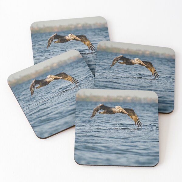 Item preview, Brown Pelican designed and sold by adventuresswfl.