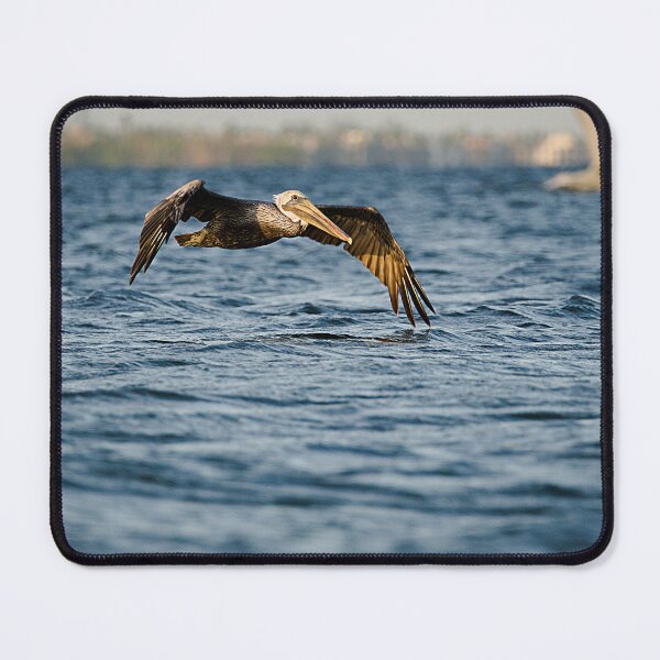 Item preview, Brown Pelican designed and sold by adventuresswfl.