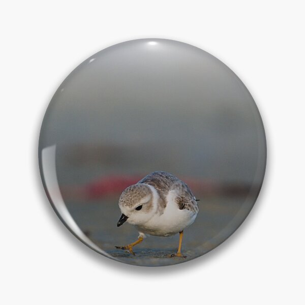 Item preview, Piping Plover designed and sold by adventuresswfl.