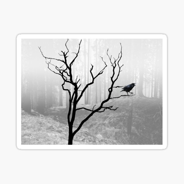 Item preview, Black Crow in Foggy Forest A118 designed and sold by byNicol.