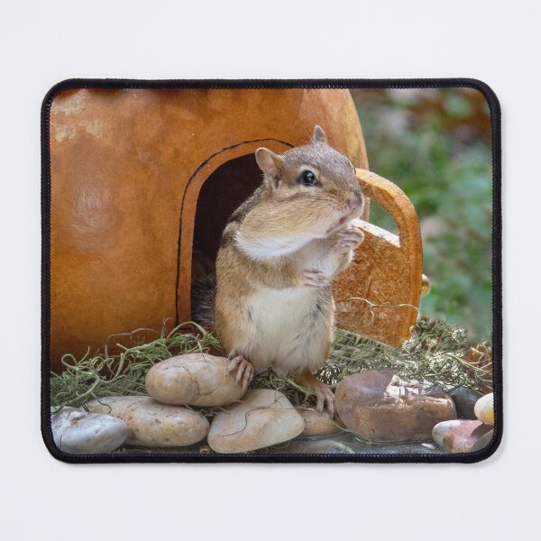 Item preview, Chipmunk waiting for a visitor designed and sold by Susan Sheldon.