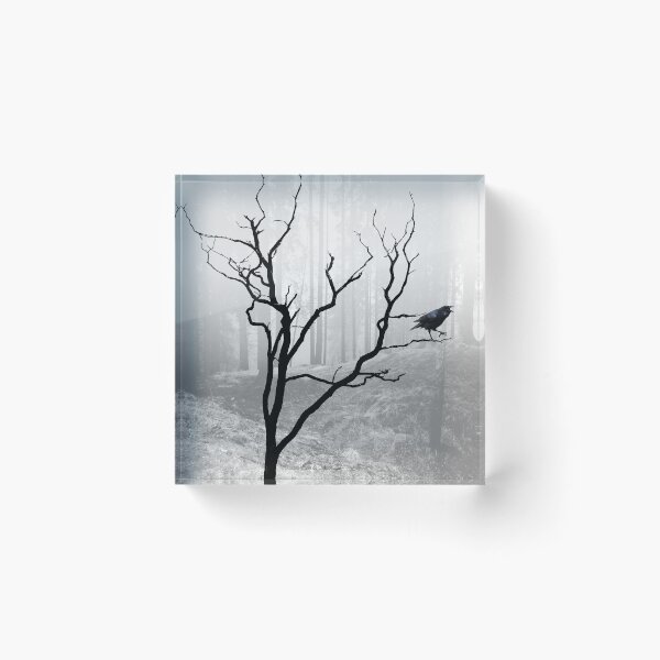 Item preview, Black Crow in Foggy Forest A118 designed and sold by byNicol.
