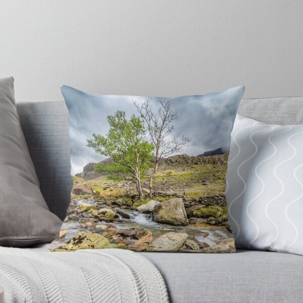 Item preview, Mountain Stream Llanberis Pass Snowdonia  designed and sold by AJEvans.