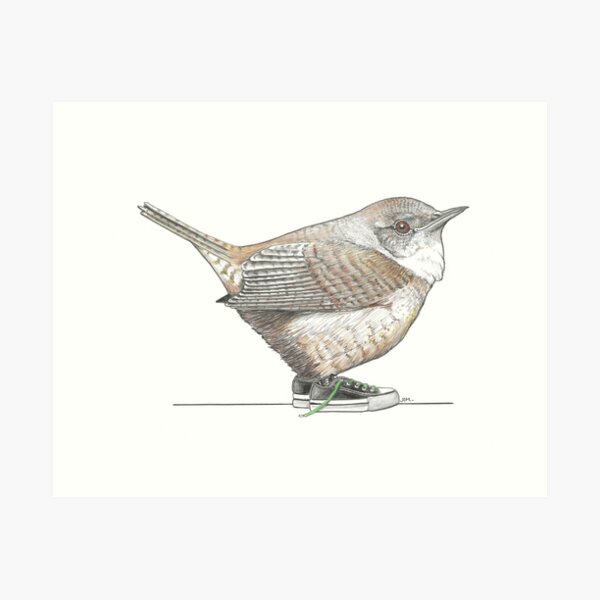 Item preview, Wren in Low Top Sneakers designed and sold by JimsBirds.