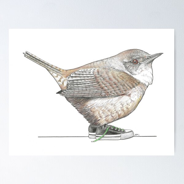 Item preview, Wren in Low Top Sneakers designed and sold by JimsBirds.