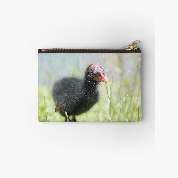 Item preview, Common Gallinule designed and sold by adventuresswfl.