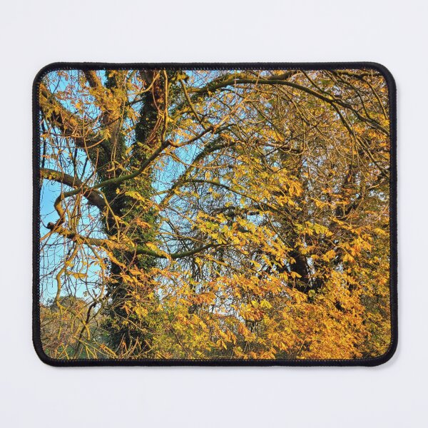 Item preview, autumn designed and sold by sajaha81.