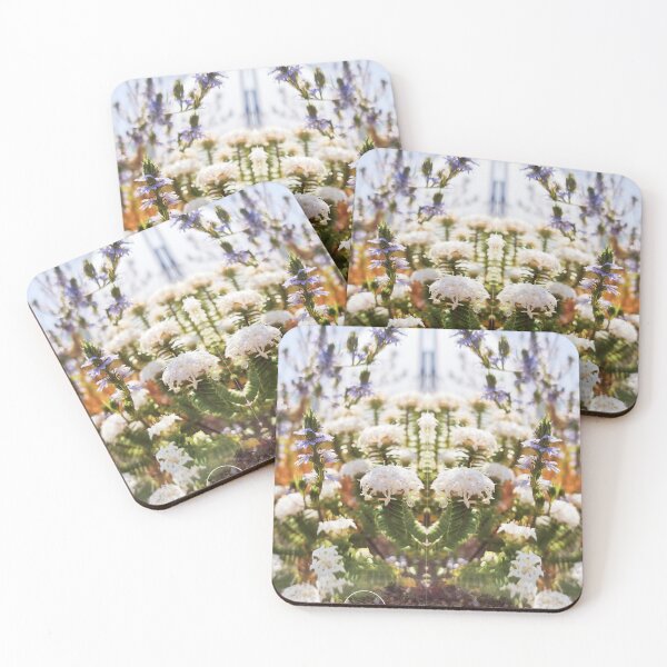 Item preview, Pimeleas and Scaevola designed and sold by LCNNativePlants.