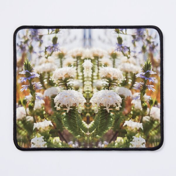 Item preview, Pimeleas and Scaevola designed and sold by LCNNativePlants.