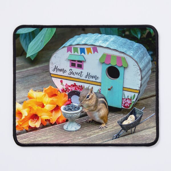 Item preview, Chipmunk and her mobile home designed and sold by Susan Sheldon.
