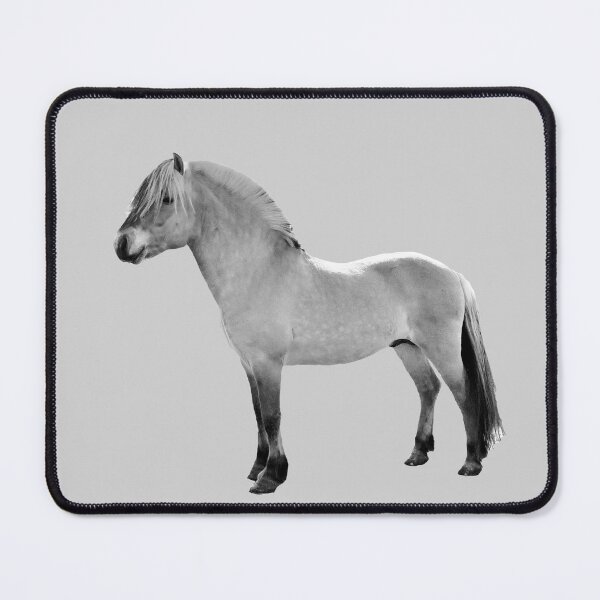 Item preview, Fjordhorse stallion designed and sold by RonjaSS.