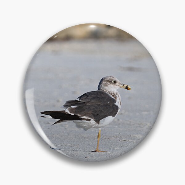 Item preview, Lesser Black-backed Gull designed and sold by adventuresswfl.