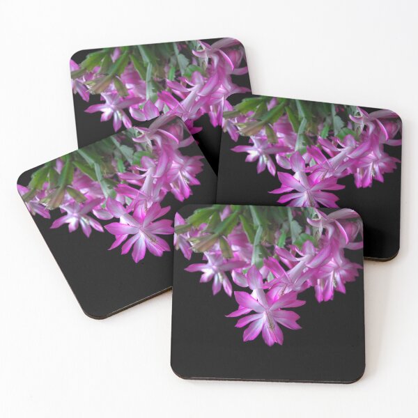 Item preview, Schlumbergera Truncata, aka Thanksgiving Cactus designed and sold by heatherfriedman.