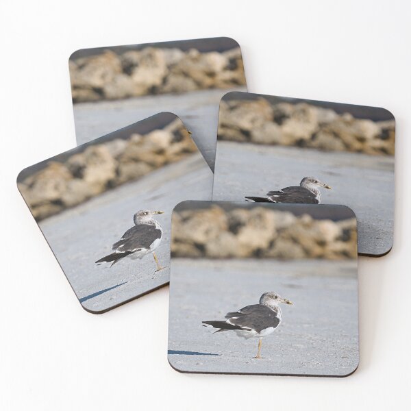 Item preview, Lesser Black-backed Gull designed and sold by adventuresswfl.
