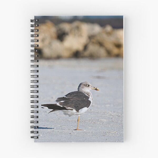 Item preview, Lesser Black-backed Gull designed and sold by adventuresswfl.