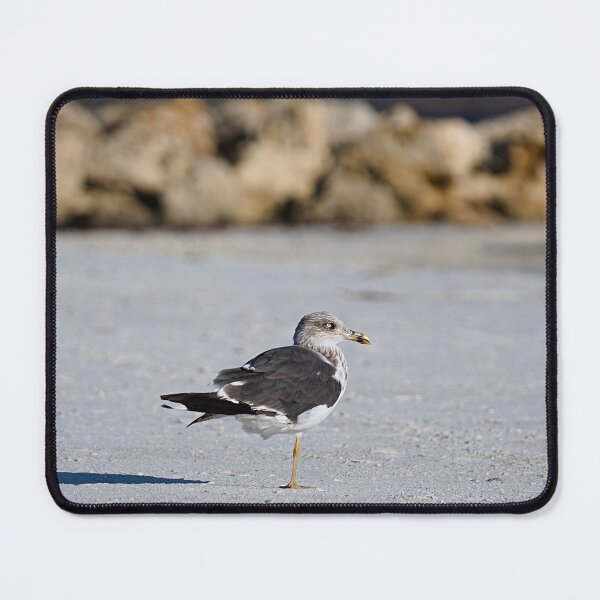 Item preview, Lesser Black-backed Gull designed and sold by adventuresswfl.