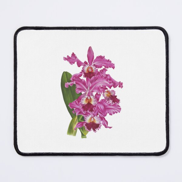 Item preview, For the frill of it designed and sold by MomMamaMaaam.