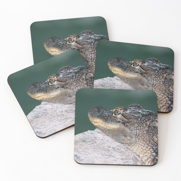 Item preview, American Alligator designed and sold by adventuresswfl.