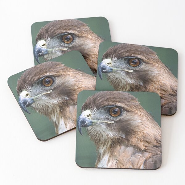 Item preview, Red-TailedHawk designed and sold by adventuresswfl.