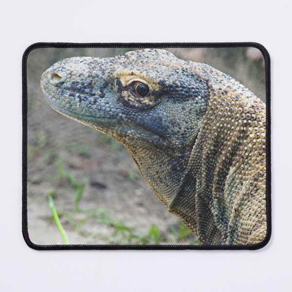 Item preview, Komodo Dragon designed and sold by adventuresswfl.
