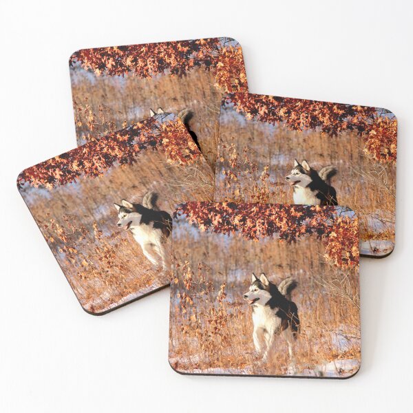 Item preview, Majestic Husky with Matching Eye Color to Autumn Leaves designed and sold by myhuskymax.