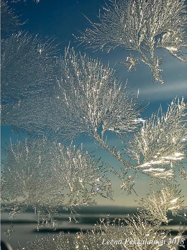 Frost flowers by Leenasart
