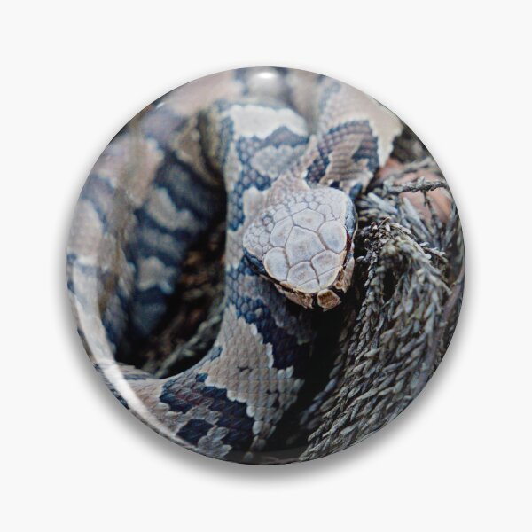 Item preview, Florida Cottonmouth designed and sold by adventuresswfl.
