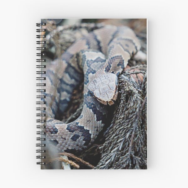 Item preview, Florida Cottonmouth designed and sold by adventuresswfl.