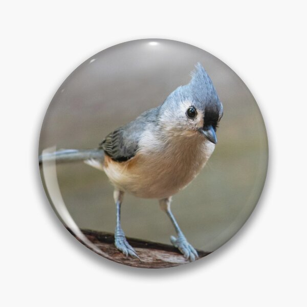 Item preview, Sweet little bird on a log designed and sold by Susan Sheldon.