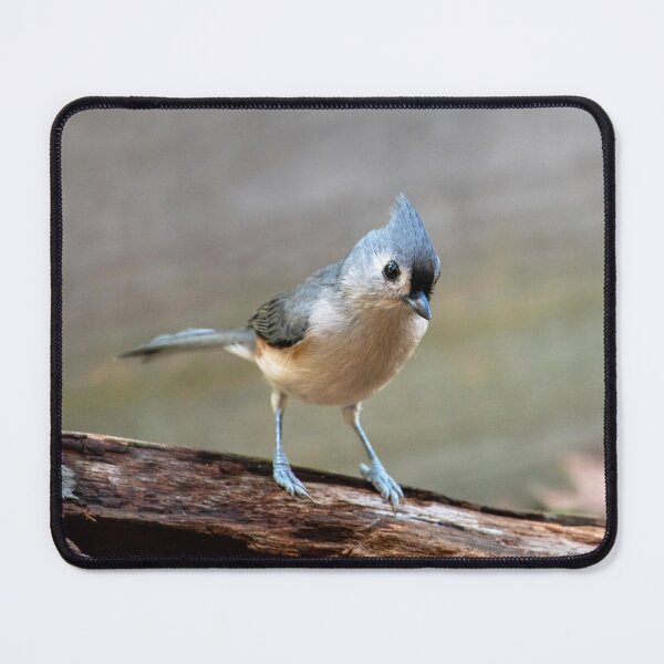 Item preview, Sweet little bird on a log designed and sold by Susan Sheldon.
