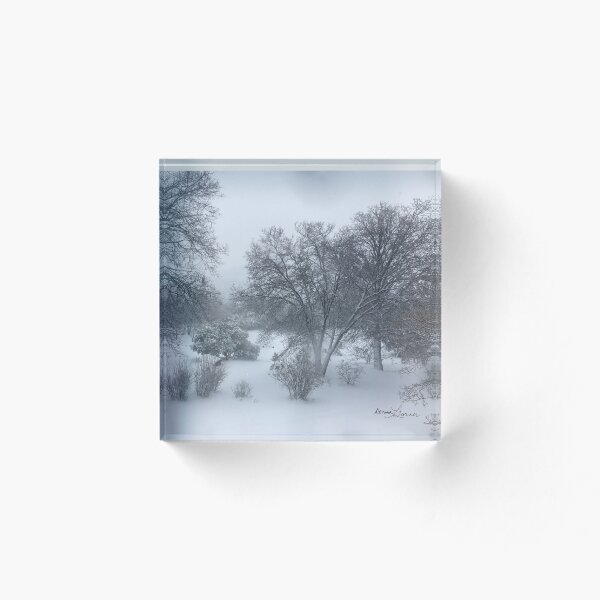 Item preview, Snowy Branches designed and sold by Donna Turner.