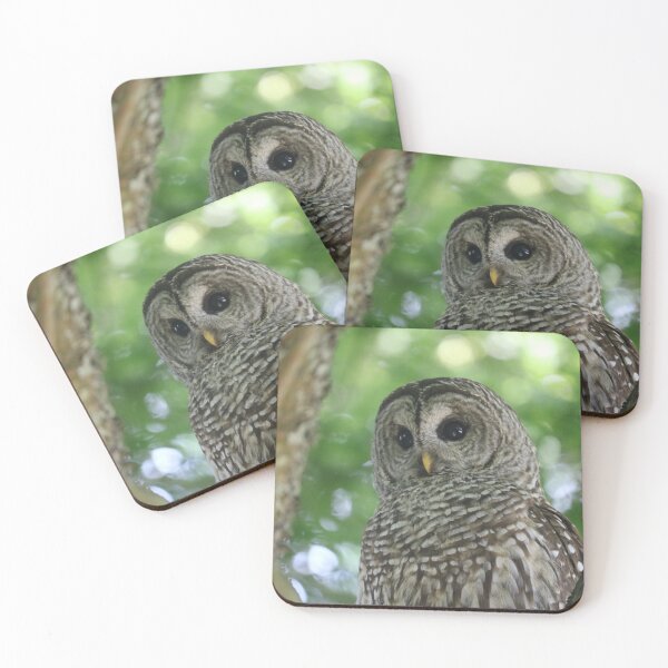 Item preview, Barred Owl Portrait designed and sold by TinaLynne77.