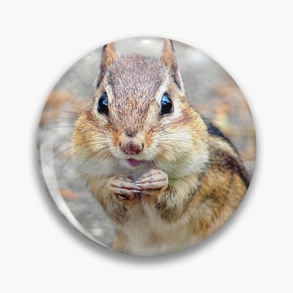Item preview, Adorable chipmunk with a smile designed and sold by Susan Sheldon.