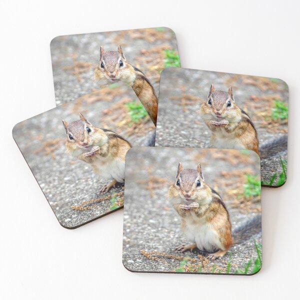 Item preview, Adorable chipmunk with a smile designed and sold by Susan Sheldon.