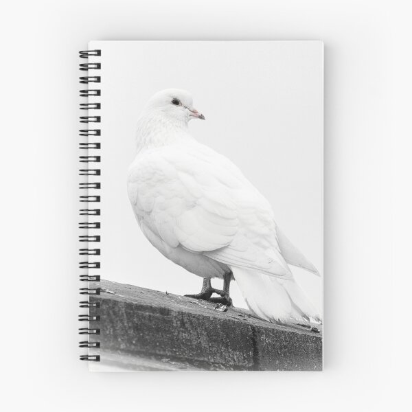 Item preview, White dove designed and sold by HaleyRedshaw.