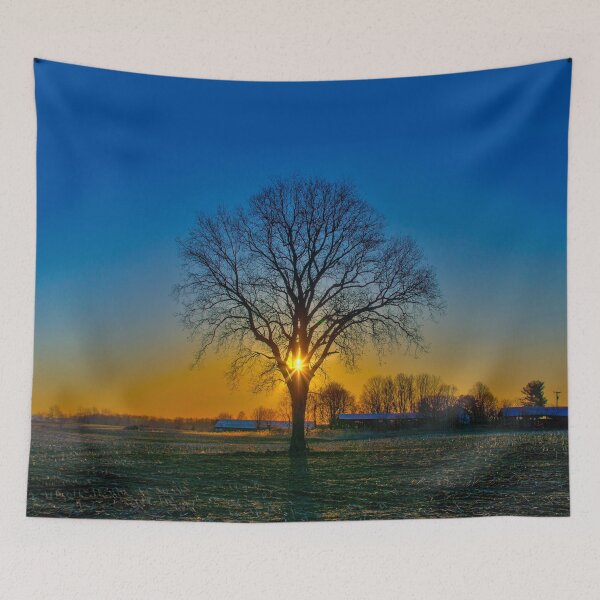 Item preview, Lone Oak Sunrise designed and sold by Lawrence White.