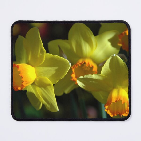 Item preview, Daffodil Shadows designed and sold by okomedesign.