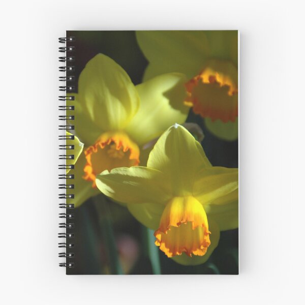 Item preview, Daffodil Shadows designed and sold by okomedesign.