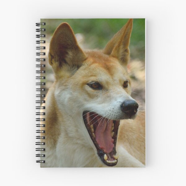 Item preview, Yawning dingo designed and sold by AlizadaStudios.