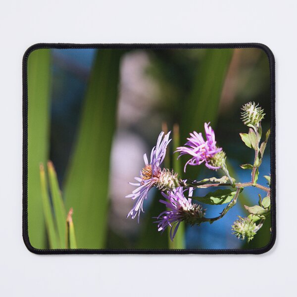Item preview, Climbing Aster designed and sold by adventuresswfl.