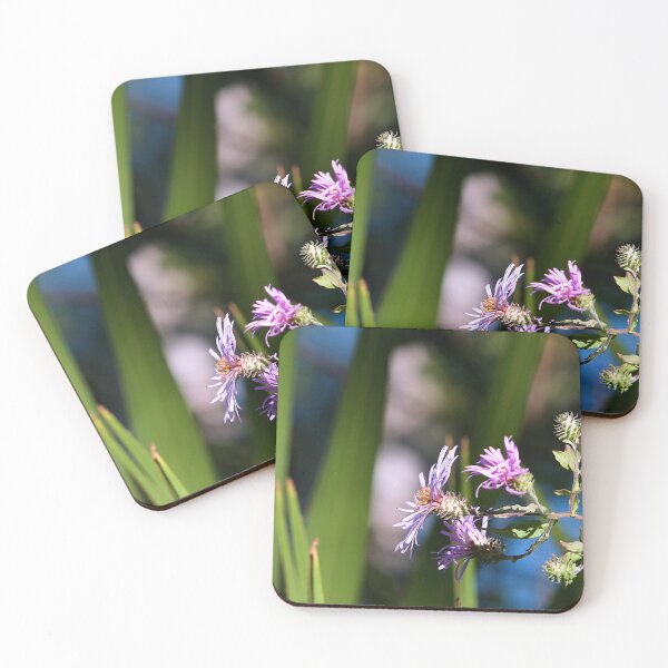 Item preview, Climbing Aster designed and sold by adventuresswfl.