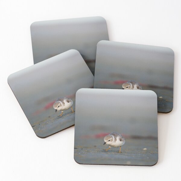 Item preview, Piping Plover designed and sold by adventuresswfl.