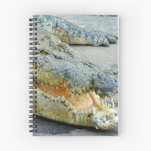 Item preview, Saltwater crocodile designed and sold by AlizadaStudios.