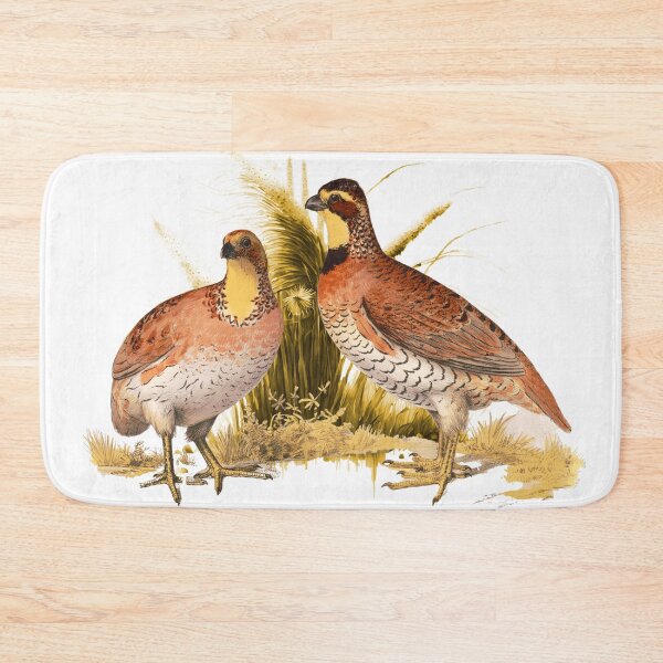 Item preview, Bobwhite Quail Bird designed and sold by Bliss Find And Design.