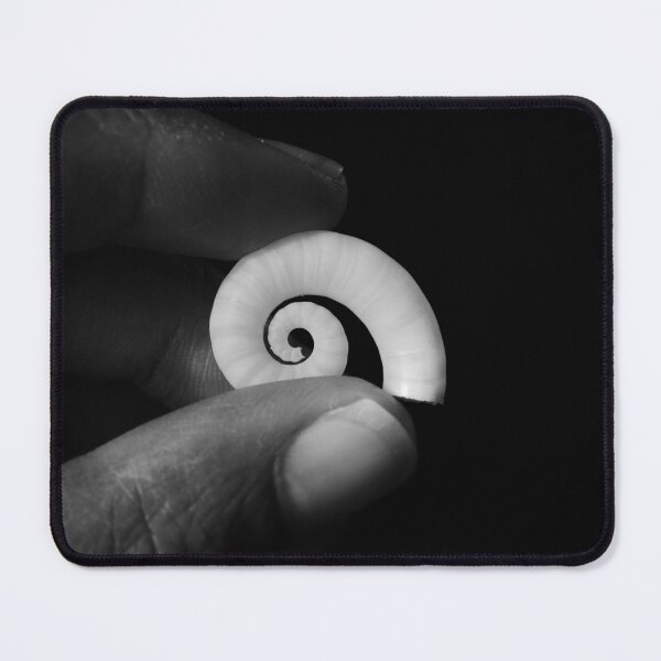Item preview, Perfect Spirula Shell - Black and White Photography designed and sold by Made By Nishi | Nishi Wojnar.