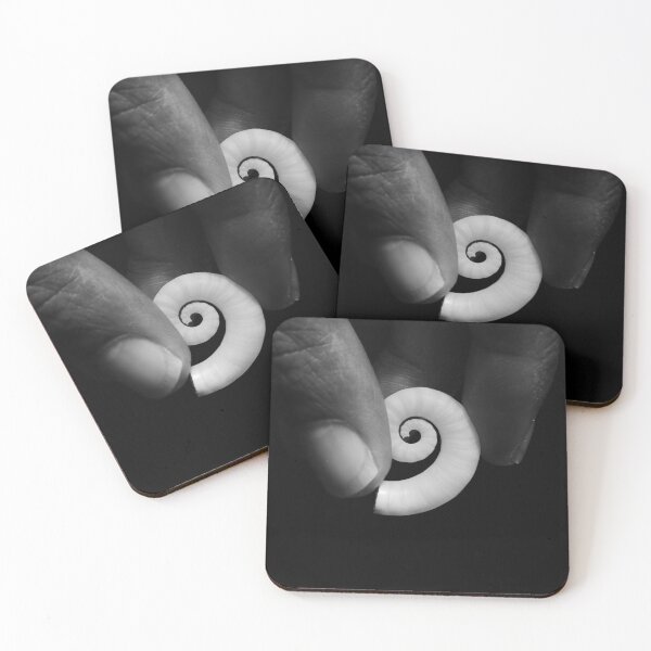 Item preview, Perfect Spirula Shell - Black and White Photography designed and sold by Made By Nishi | Nishi Wojnar.